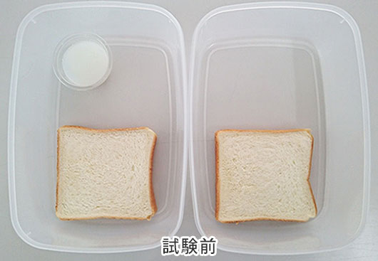 ピュアゾーンGを用いた抗菌試験 試験前