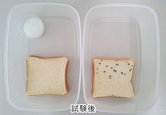 ピュアゾーンGを用いた抗菌試験 試験後