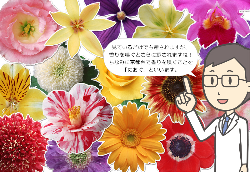 花の香りがたくさんある理由 京都リフレ新薬株式会社