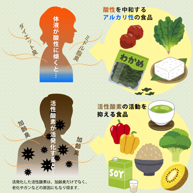 食べ物 の 匂い 吐き気 原因