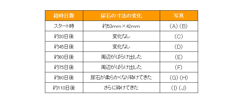 尿石の経時変化